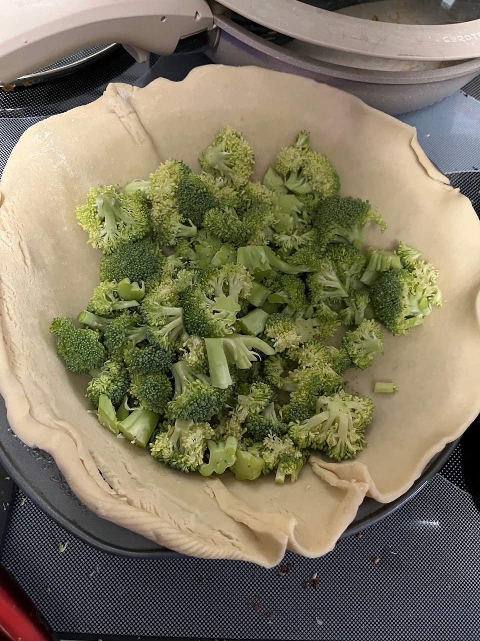 Promptly has been added into across. It’s in a pipe pan probably has been broken up, but it’s still un relatively large bit.